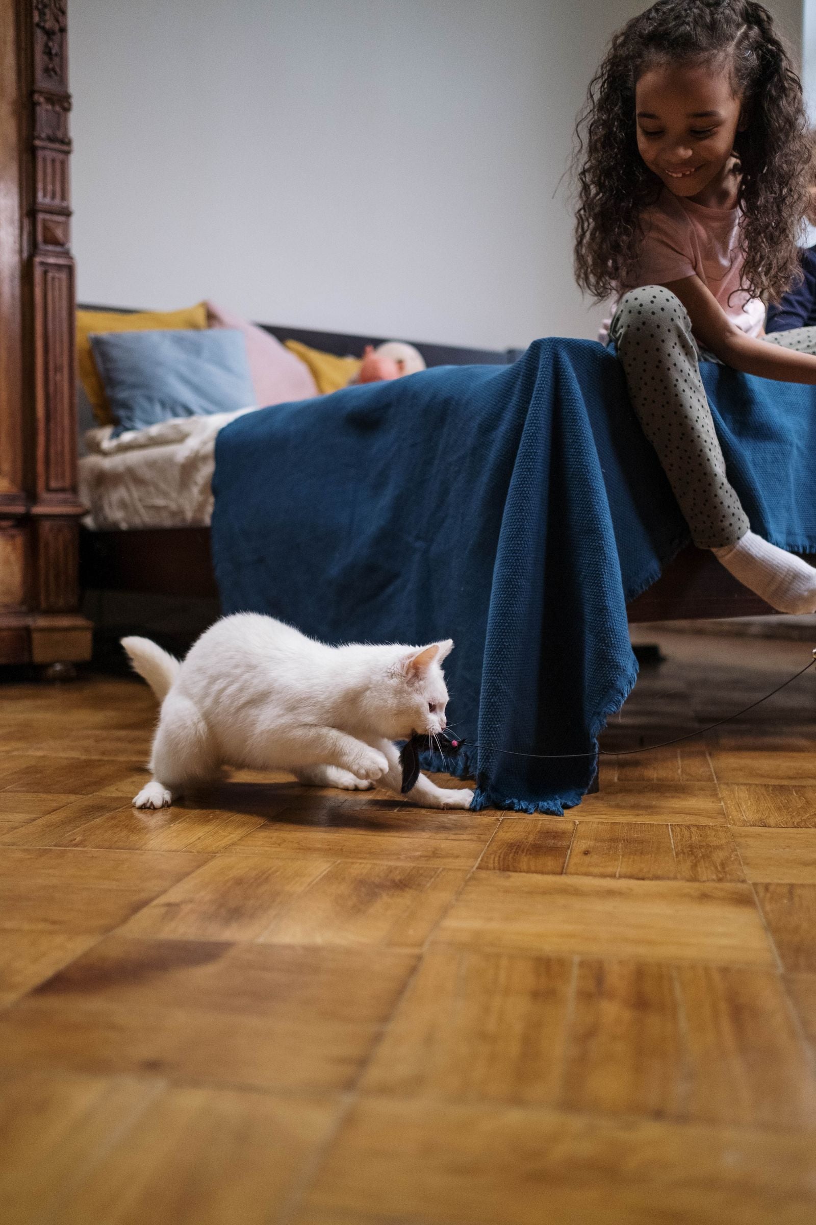 Interactive Laser Pointer Cat Toy for Endless Fun