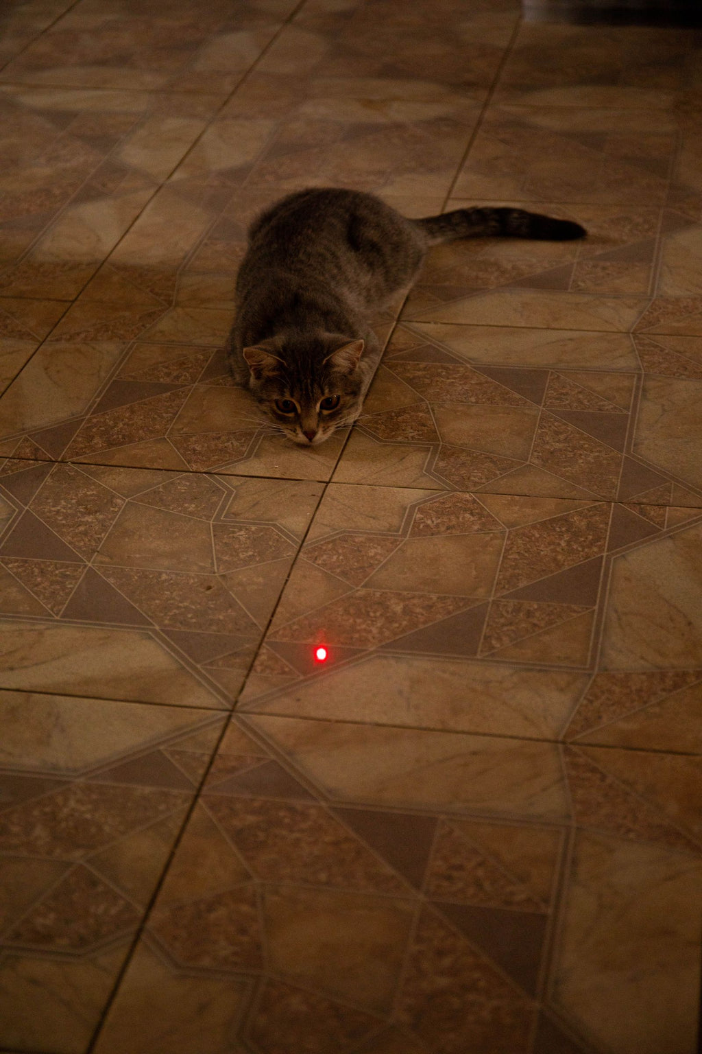 Interactive Laser Pointer Cat Toy for Endless Fun