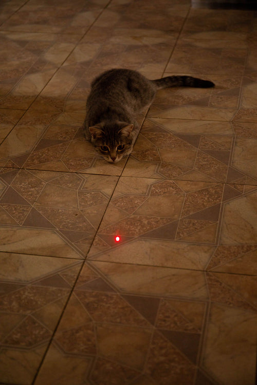 Interactive Laser Pointer Cat Toy for Endless Fun